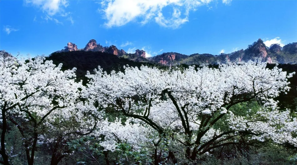 鞍山鞍山移动宽带